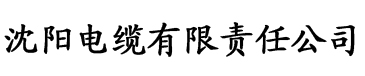 欧美日本精品一区二区三区电缆厂logo